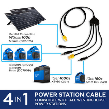 WSolar100p Solar Panel