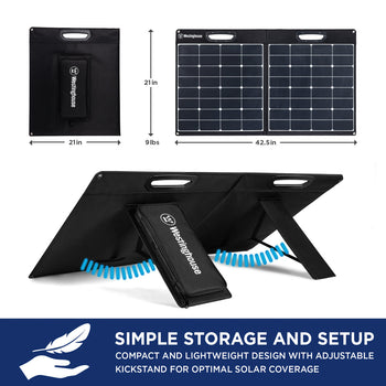 WSolar100p Solar Panel