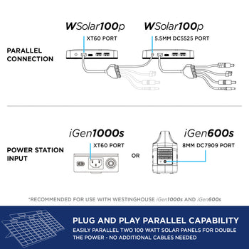 WSolar100p Solar Panel