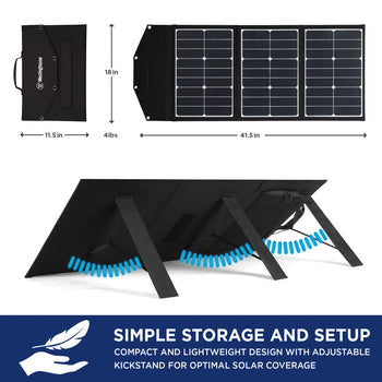 WSolar60p Solar Panel